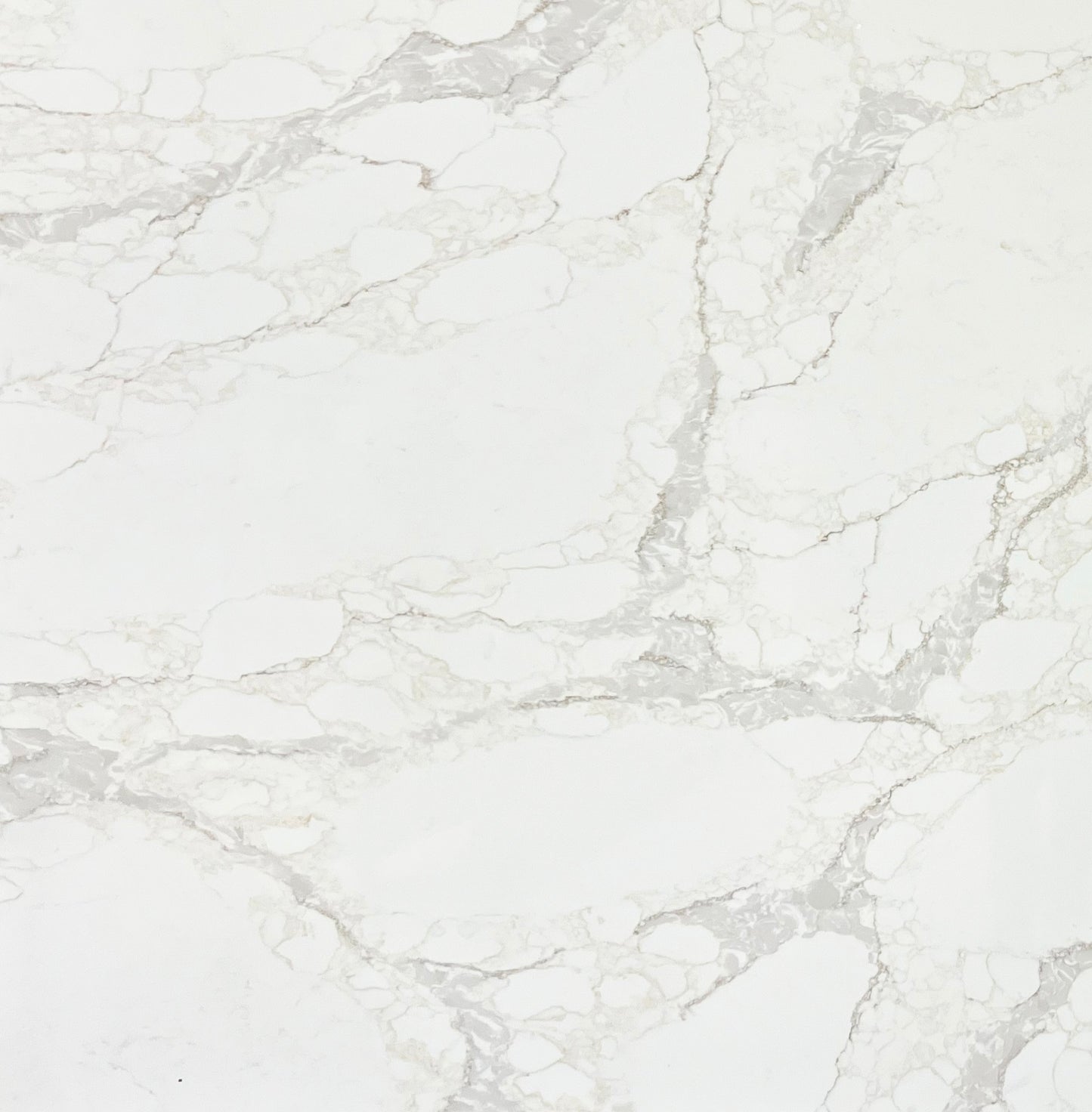 Arabescato Gold - Sample