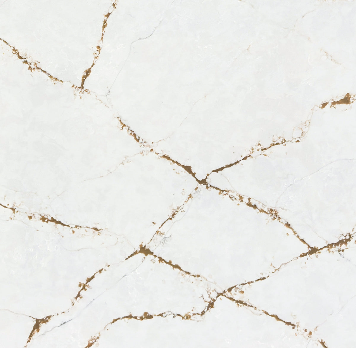 Calacatta Encore 200x100(mm) Sample