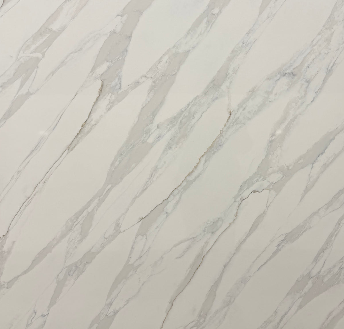 Calacatta Lucia 200x100(mm) Sample
