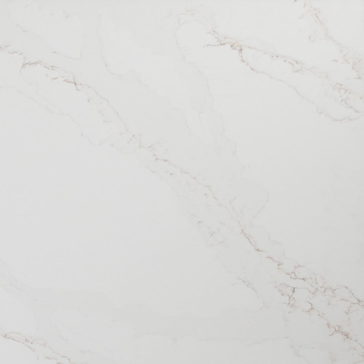Calacatta Divine 200x100(mm) Sample