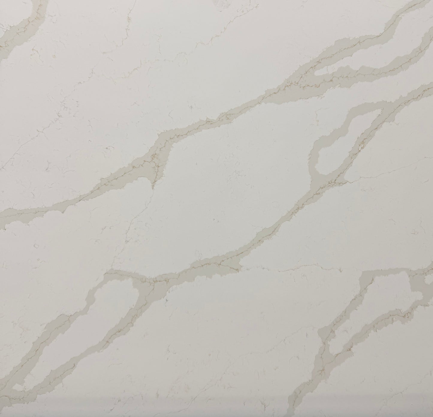 Calacatta Nuvo 200x100(mm) Sample